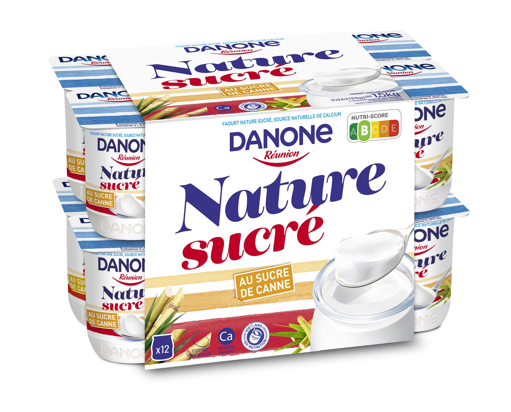 DANONE 12X125G SUCRE