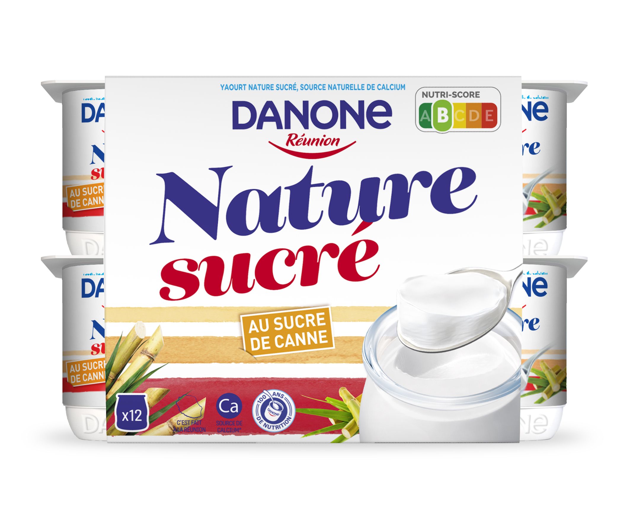 DANONE 12X125G SUCRE