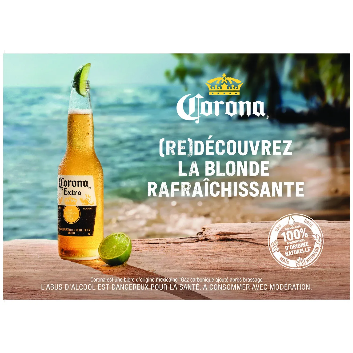 Bière Blonde 4,5% CORONA