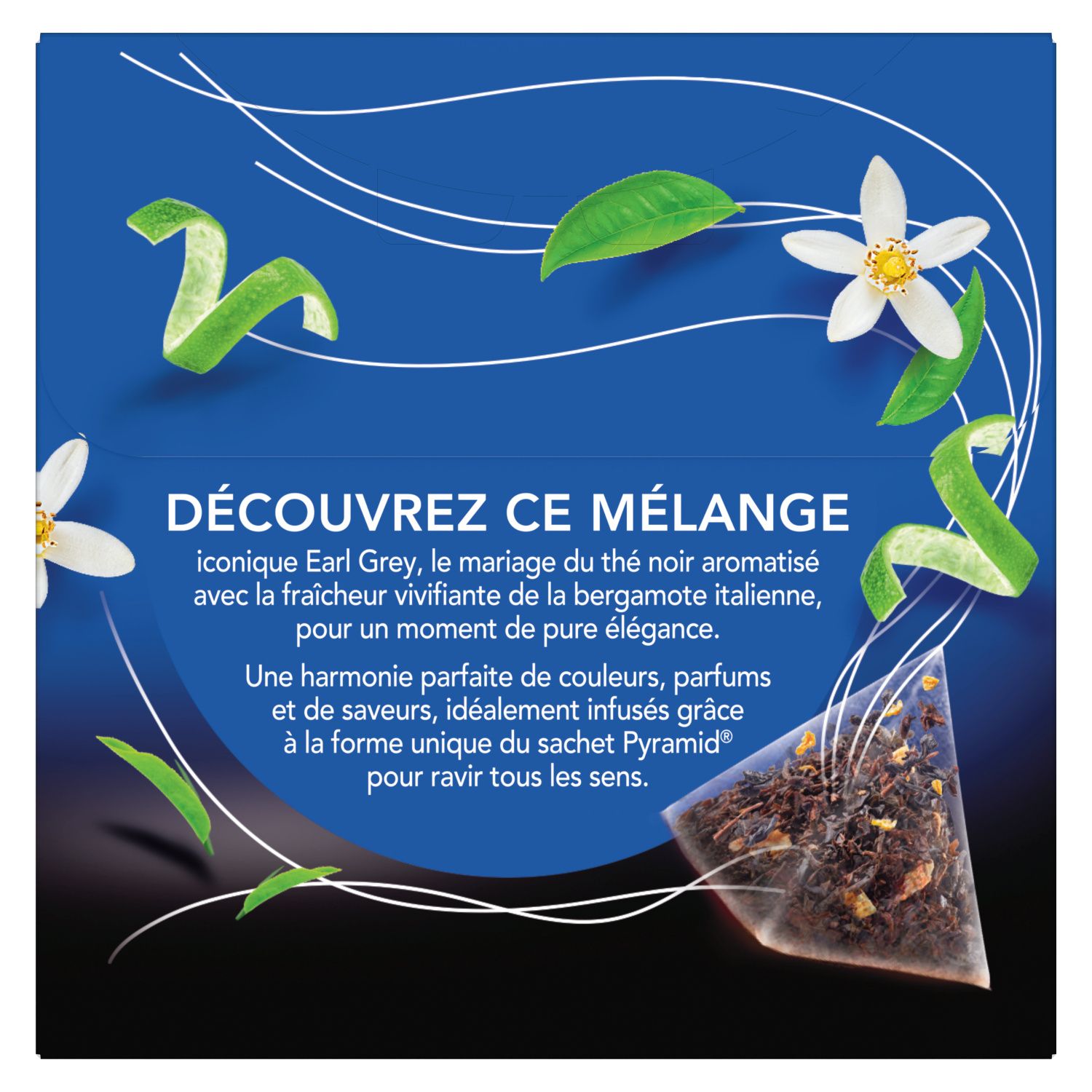 Thé Noir Earl Grey à la Bergamote d'Italie LIPTON
