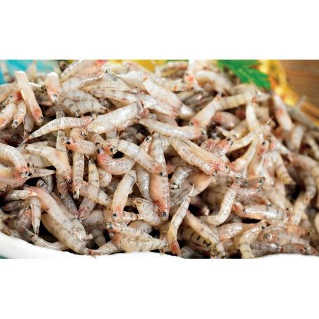 Bichique Premium SHT 225G