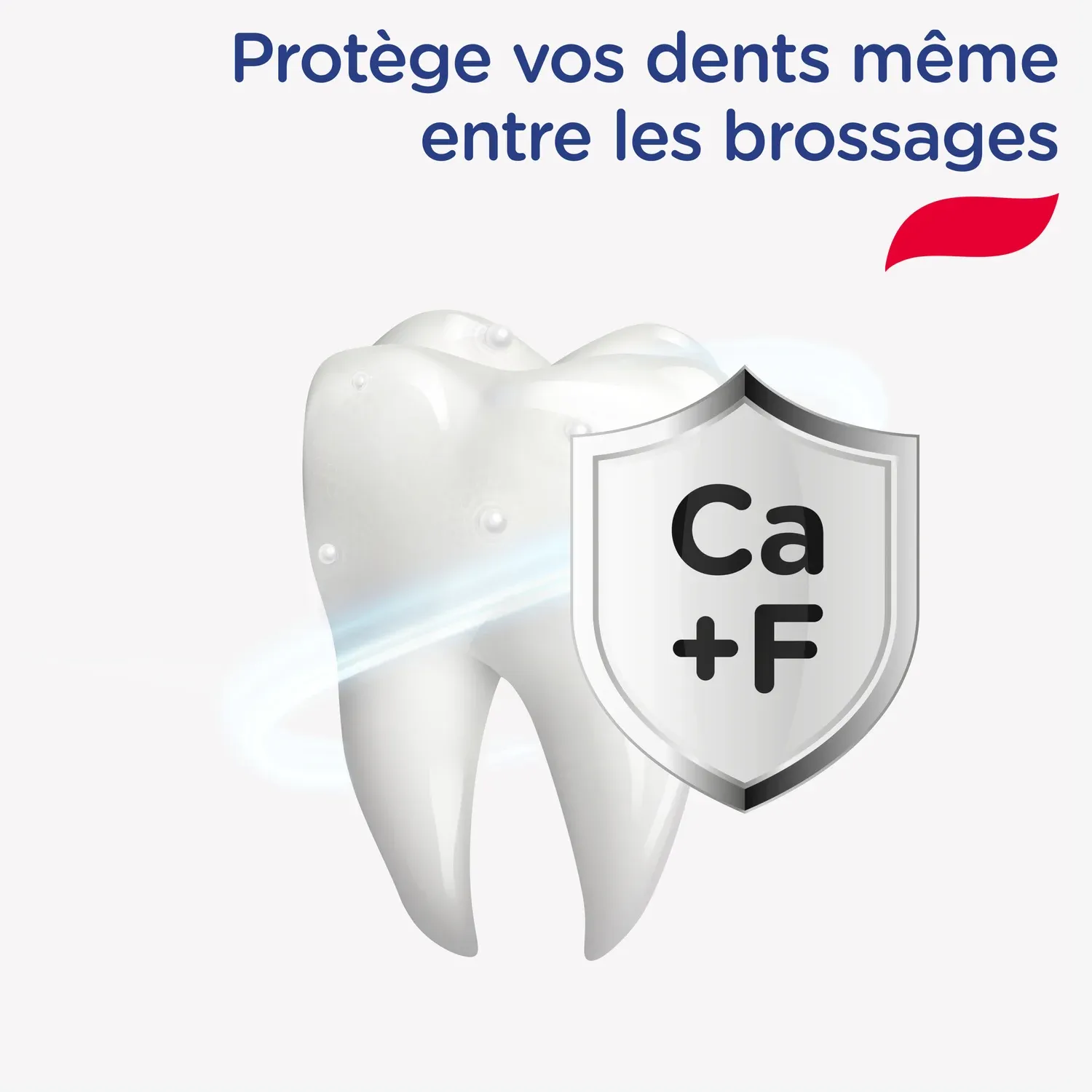 Dentifrice Protection Caries SIGNAL
