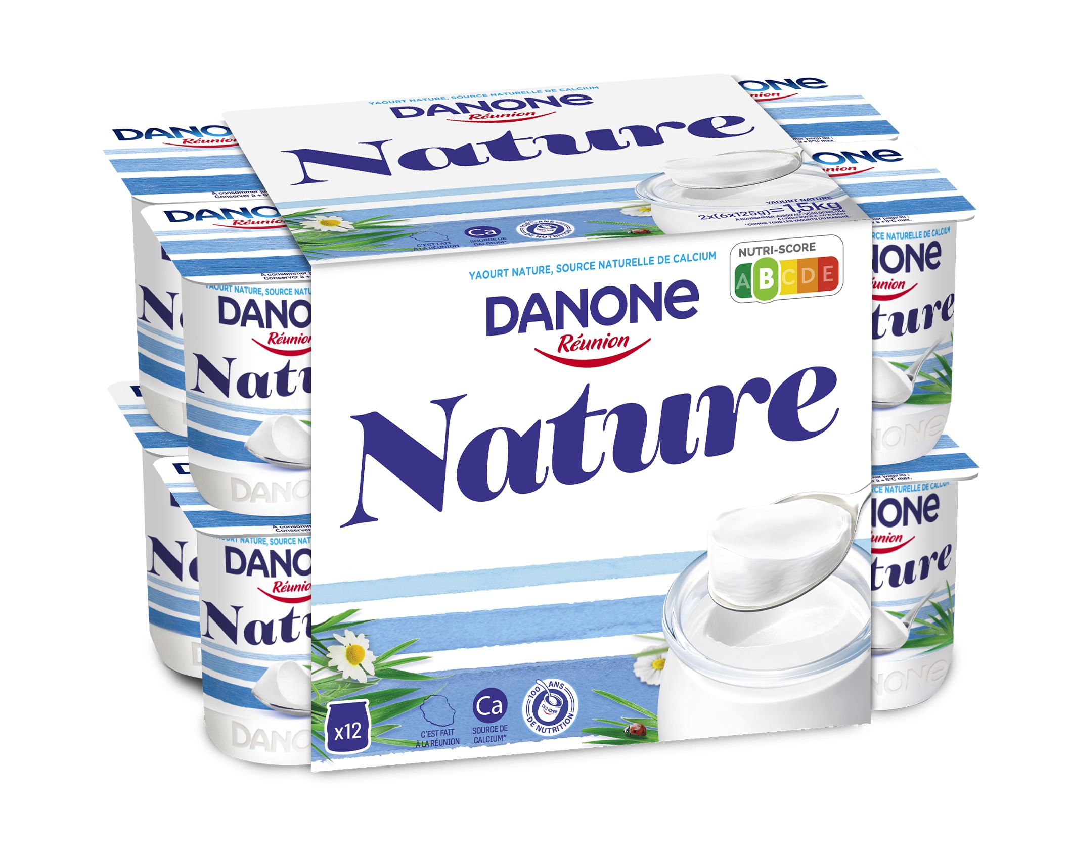 DANONE NAT 12X125G BQP