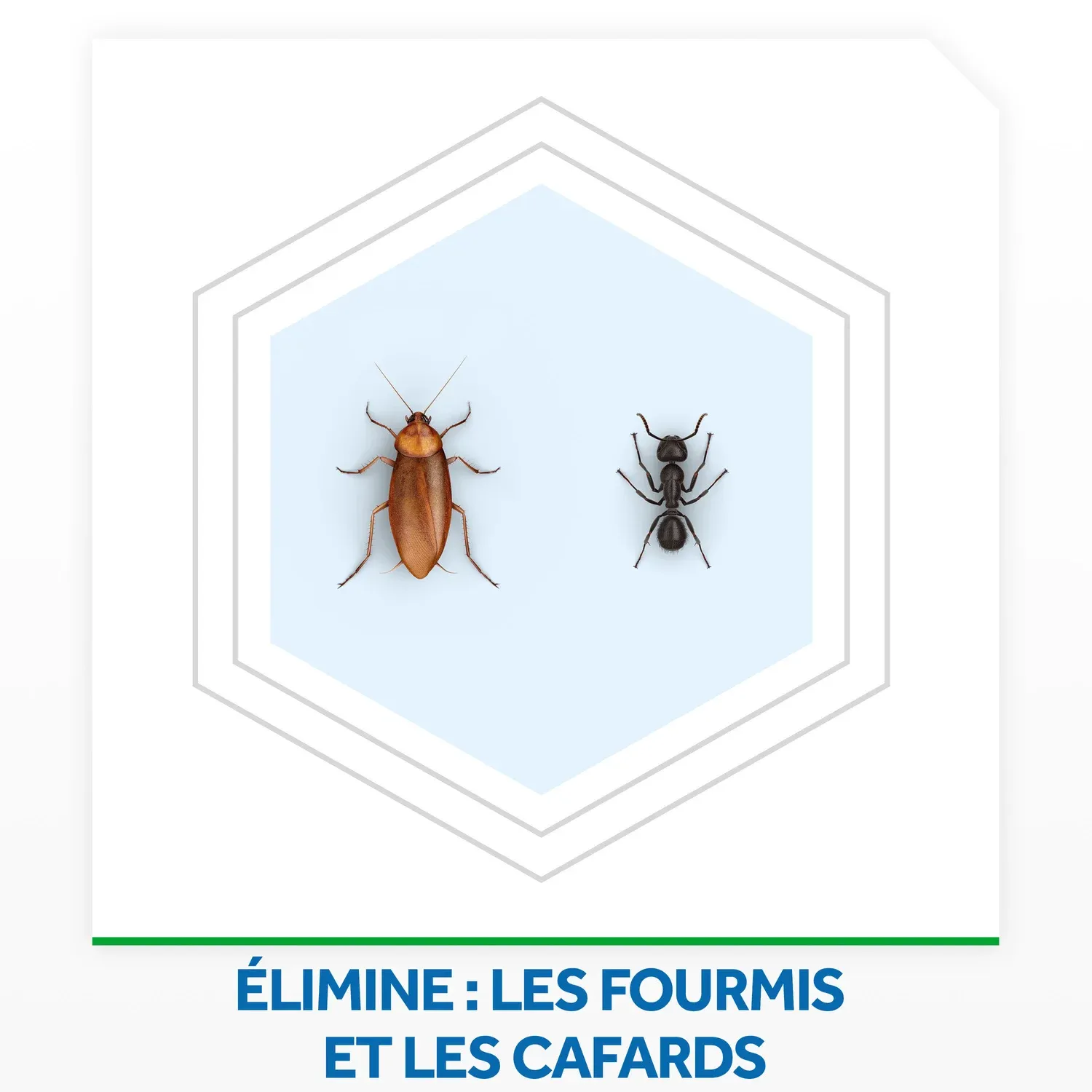 Anti-Rampants Spray Fourmis et Cafards Action Rapide Protection Longue Durée BAYGON
