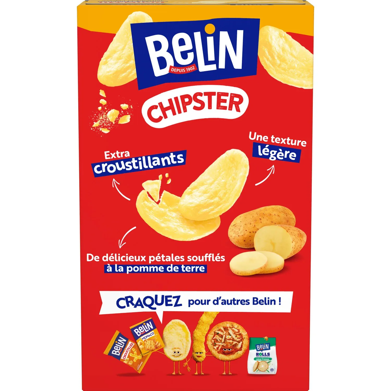 Chips salé BELIN