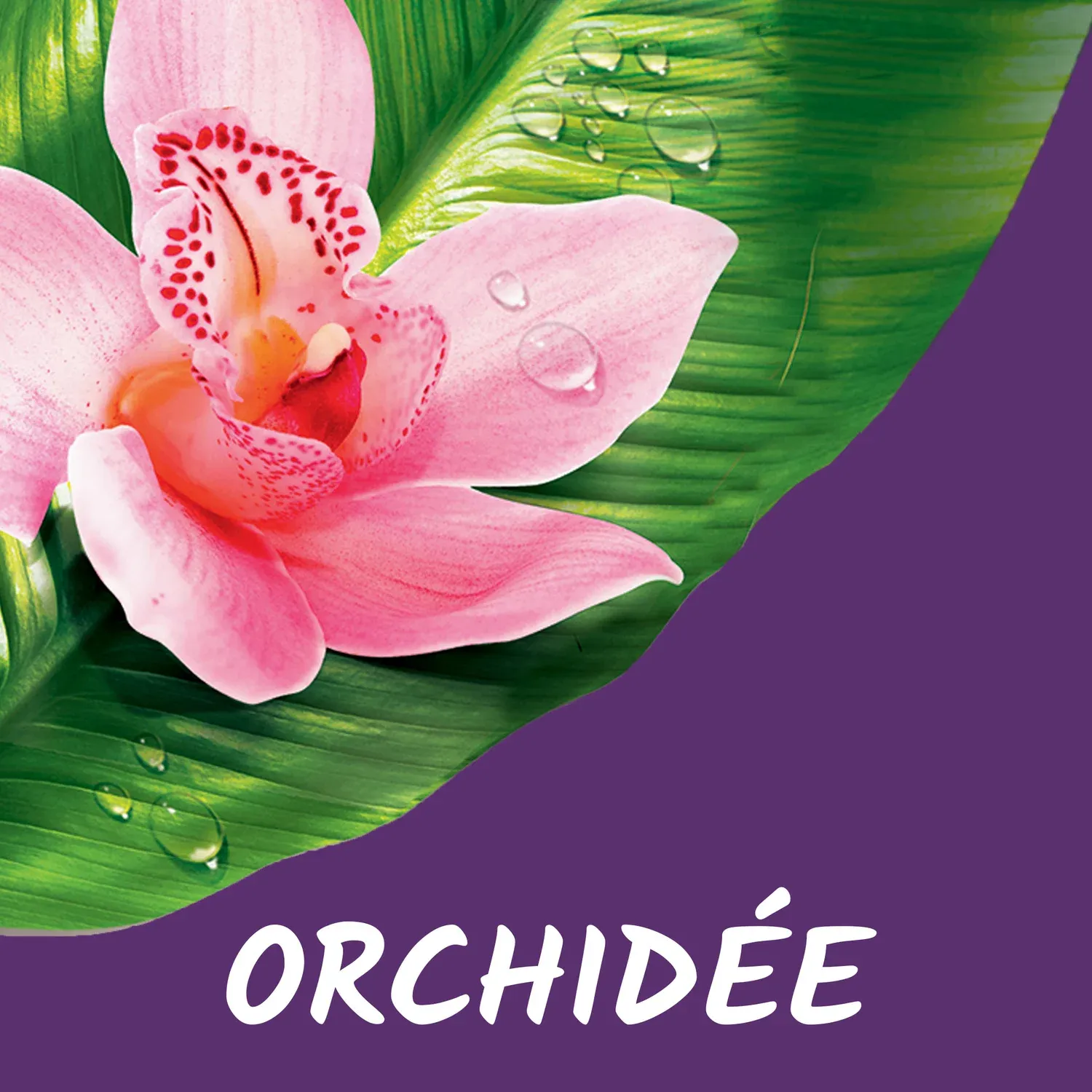Gel douche Relaxant Orchidée TAHITI