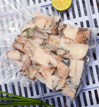 Poulpe en cube 2,5KG