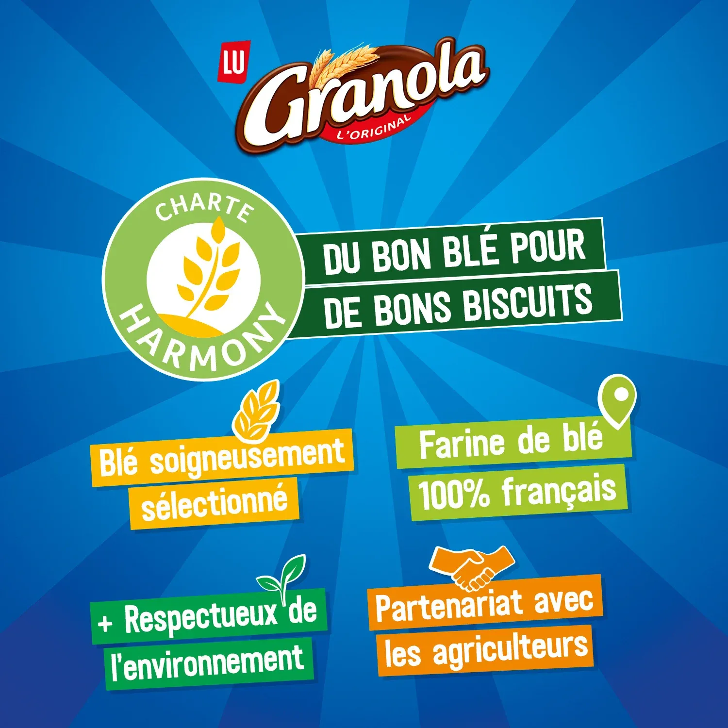 Biscuits sablés nappés au chocolat au lait Granola LU