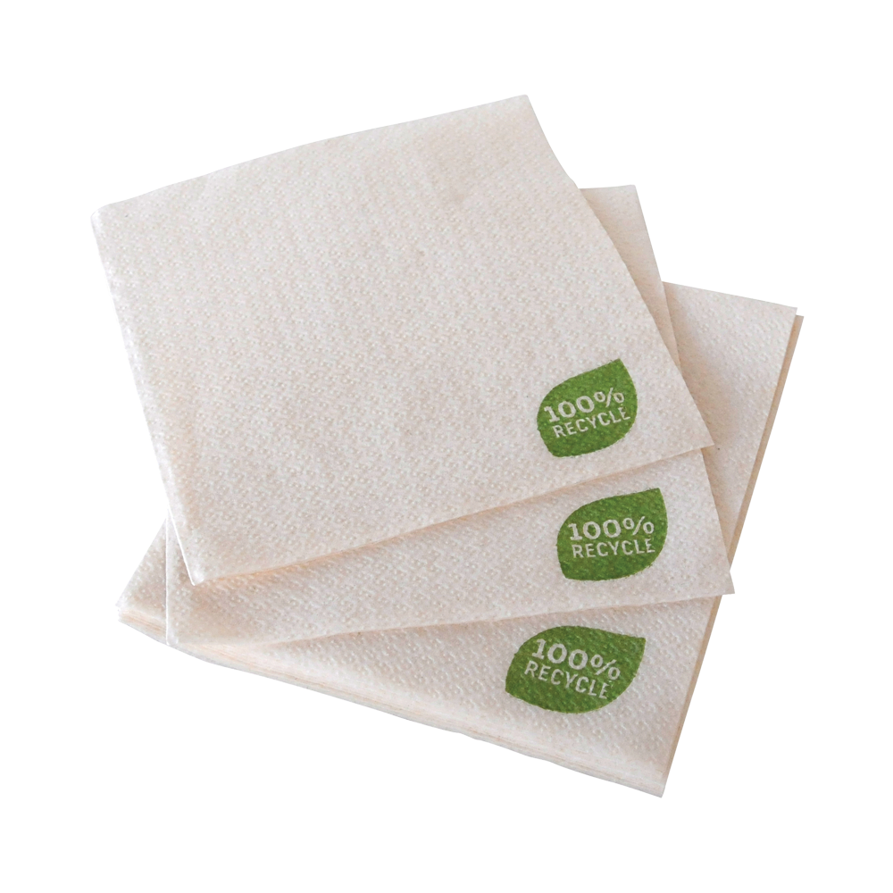 100 SERVIETTE RECYCLÉE 30X30CM2 PLIS