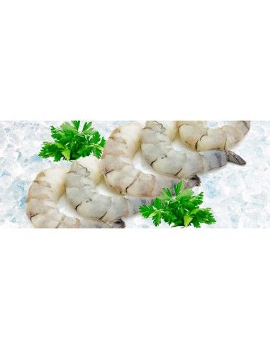 Queue de crevette tropicale 13/15 280G