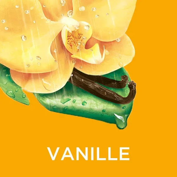 Gel Douche Vanille Gourmande - 250ml