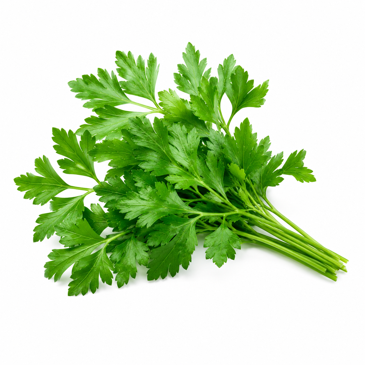 1 bouquet de persil frais
