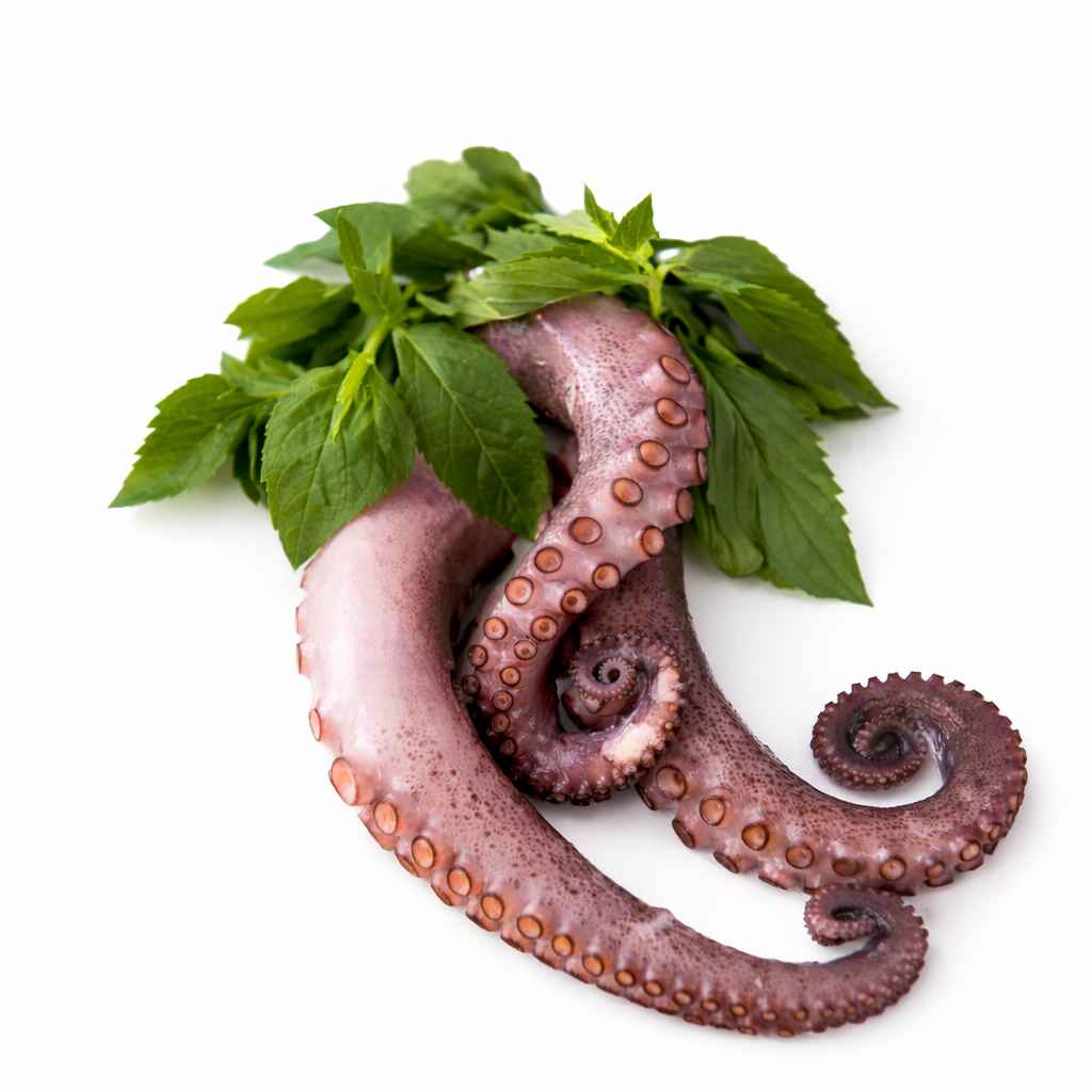 500 g Zourite