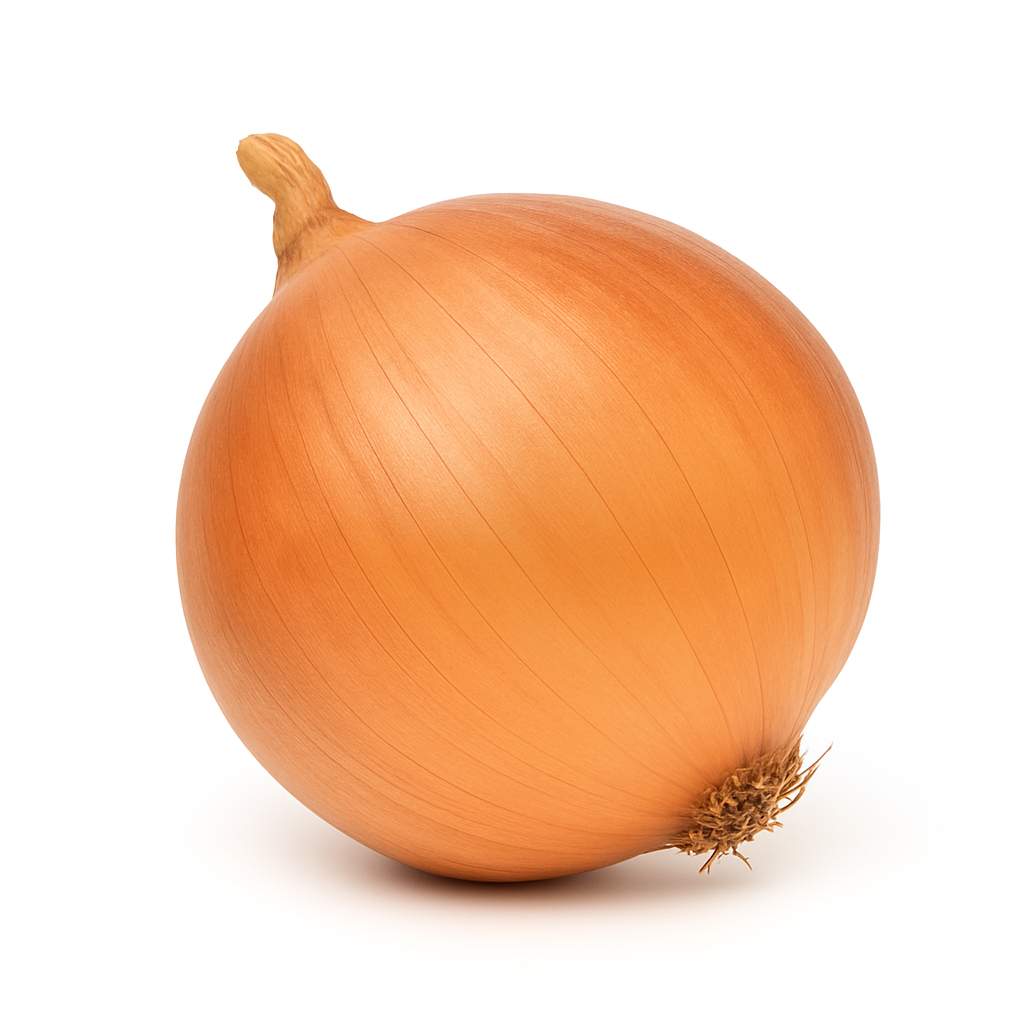 1 gros oignon 