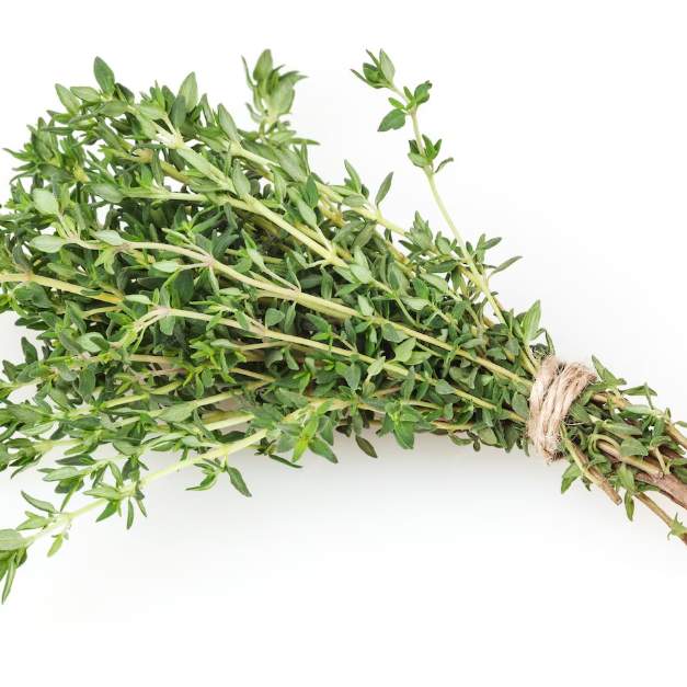 Thym (quelques branches) 