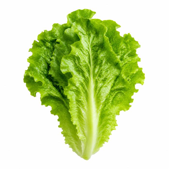 Quelques feuilles de salade 
